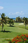 golf saint franois guadeloupe st francois location villa au bord du golf et du lagon 